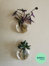 Cargar imagen en el visor de la galería, Florero propagador VITRA