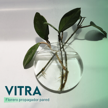 Cargar imagen en el visor de la galería, Florero propagador VITRA