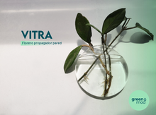 Cargar imagen en el visor de la galería, Florero propagador VITRA