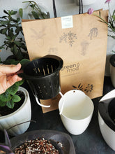 Cargar imagen en el visor de la galería, PACK PARED