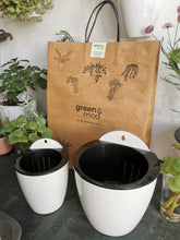 Cargar imagen en el visor de la galería, PACK PARED