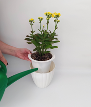 Cargar imagen en el visor de la galería, Macetero JAZMÍN