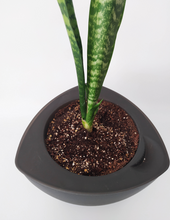 Cargar imagen en el visor de la galería, Macetero STONE