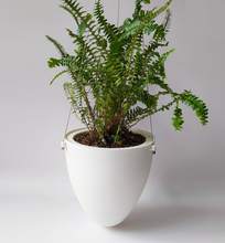 Cargar imagen en el visor de la galería, Macetero HUEVO