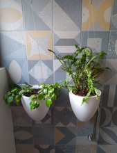 Cargar imagen en el visor de la galería, Macetero HUEVO