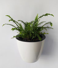 Cargar imagen en el visor de la galería, Pack 3 Wall M