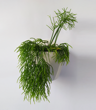 Cargar imagen en el visor de la galería, Pack 3 Wall M