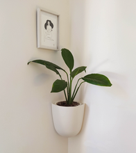 Cargar imagen en el visor de la galería, Macetero ESQUINA