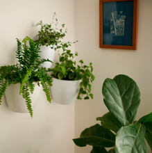 Cargar imagen en el visor de la galería, Macetero WALL M