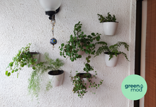 Cargar imagen en el visor de la galería, Pack 3 Wall M