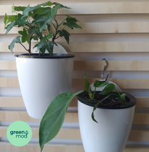 Cargar imagen en el visor de la galería, Pack 3 ganchos "S"