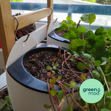 Cargar imagen en el visor de la galería, Pack 3 ganchos "S"