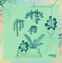 Cargar imagen en el visor de la galería, Pack Green / 6 maceteros