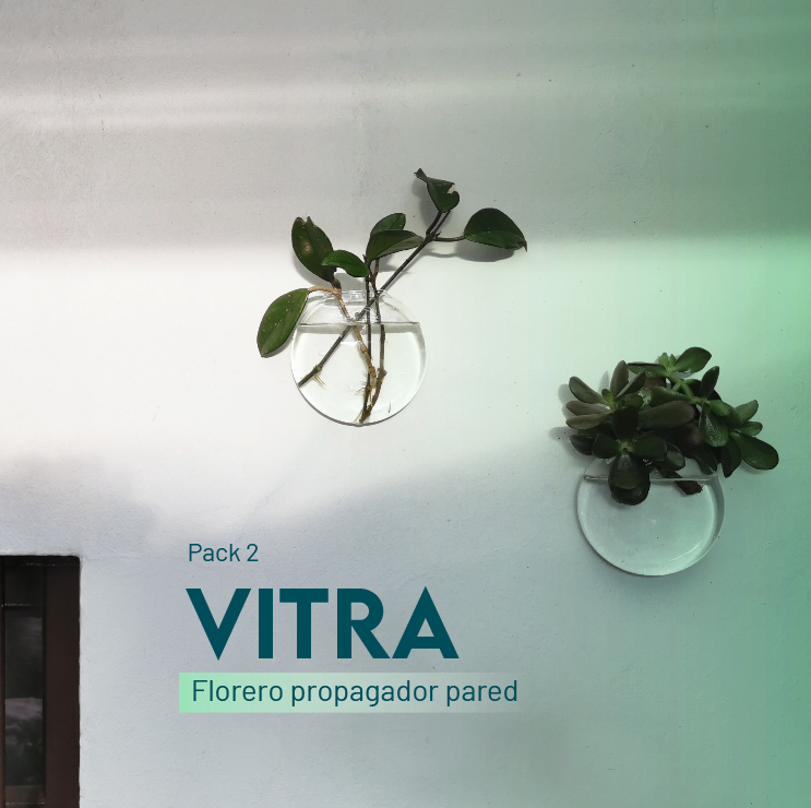 Florero propagador VITRA pack 2