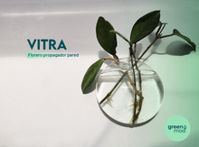 Cargar imagen en el visor de la galería, Florero propagador VITRA
